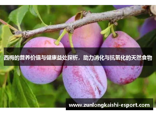 西梅的营养价值与健康益处探析，助力消化与抗氧化的天然食物